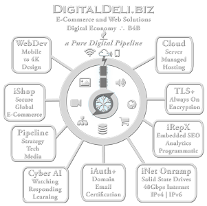 DigitalDeli.Biz Service Map